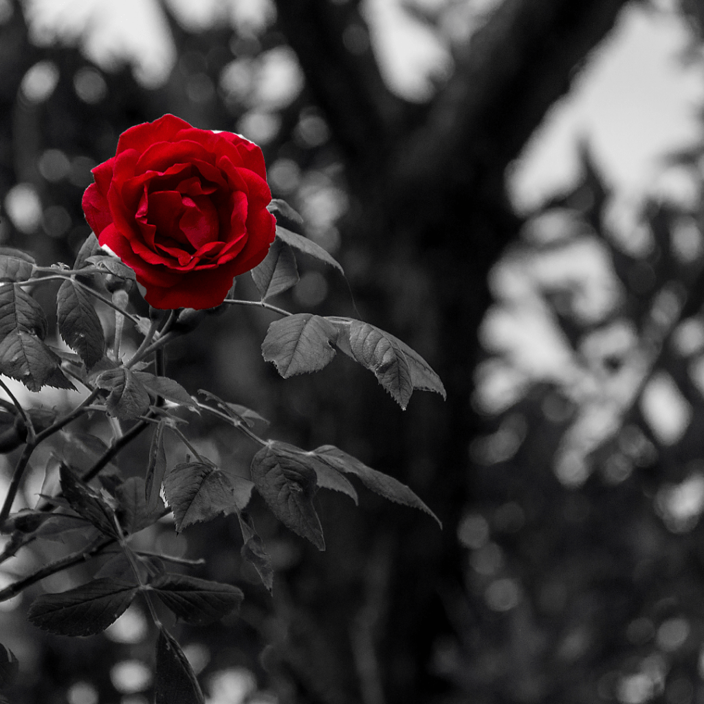 don’t you want to&nbsp;know?